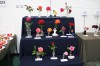 Thumbs/tn_Horticultural Show in Bunclody 2014--34.jpg